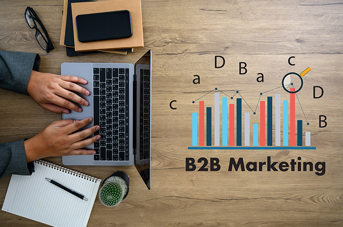 How To Leverage Digital Marketing Services For B2B In Sydney